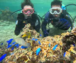 武藤潜水に投稿された画像（2023/10/31）