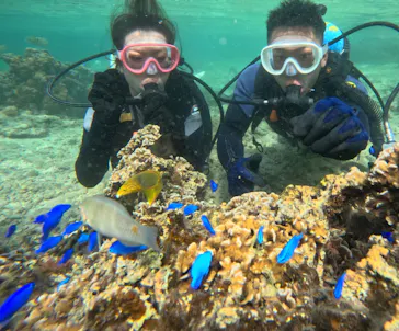 武藤潜水に投稿された画像（2023/10/31）