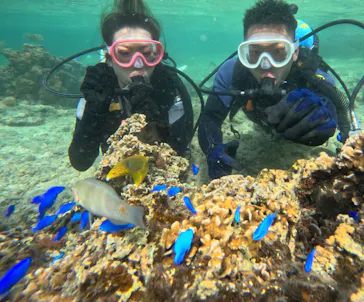 武藤潜水に投稿された画像（2023/10/31）