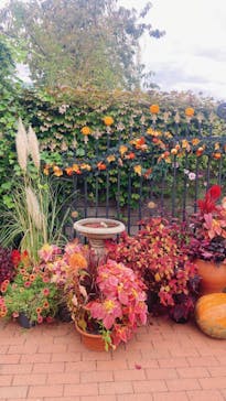 横浜イングリッシュガーデンに投稿された画像（2023/10/31）