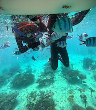 青の洞窟専門店　沖縄ダイビングショップ和に投稿された画像（2023/10/31）