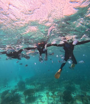 青の洞窟専門店　沖縄ダイビングショップ和に投稿された画像（2023/10/31）