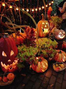 横浜イングリッシュガーデンに投稿された画像（2023/10/31）