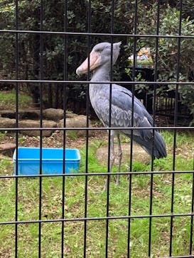 千葉市動物公園に投稿された画像（2023/10/31）