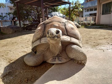 名古屋市東山動植物園に投稿された画像（2023/10/31）