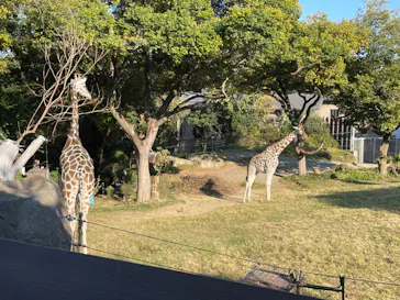 天王寺動物園に投稿された画像（2023/10/31）