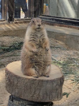 名古屋市東山動植物園に投稿された画像（2023/10/31）
