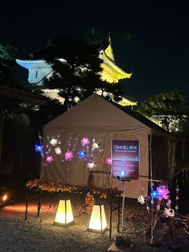 NAKED meets 二条城 2025 観月に投稿された画像（2023/10/31）