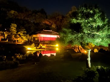 NAKED meets 二条城 2025 観月に投稿された画像（2023/10/31）