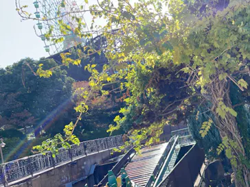 ひらかたパークに投稿された画像（2023/10/31）