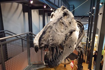 福井県立恐竜博物館に投稿された画像（2023/10/31）