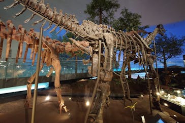 福井県立恐竜博物館に投稿された画像（2023/10/31）