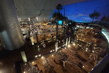 福井県立恐竜博物館に投稿された画像（2023/10/31）