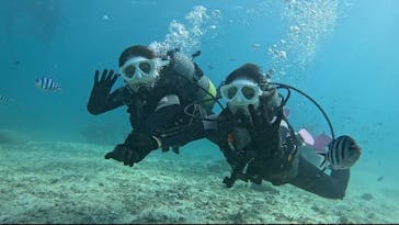 青の洞窟専門店　沖縄ダイビングショップ和に投稿された画像（2023/10/31）