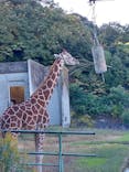 名古屋市東山動植物園に投稿された画像（2023/10/31）