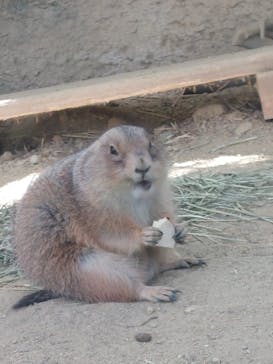 名古屋市東山動植物園に投稿された画像（2023/10/31）