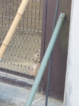 名古屋市東山動植物園に投稿された画像（2023/10/31）