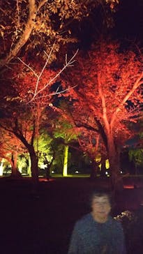 NAKED meets 二条城 2025 観月に投稿された画像（2023/10/31）