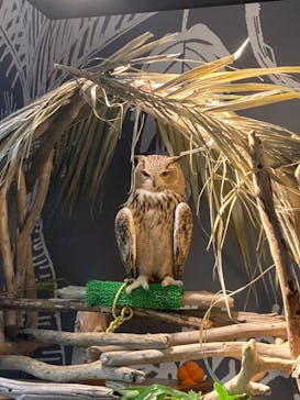 カワスイ 川崎⽔族館に投稿された画像（2023/10/31）