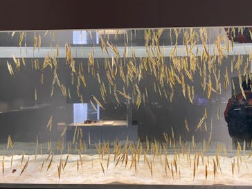 AOAO SAPPOROに投稿された画像（2023/10/31）