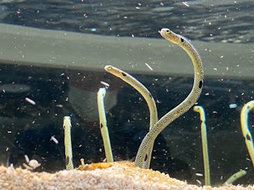 AOAO SAPPOROに投稿された画像（2023/10/31）