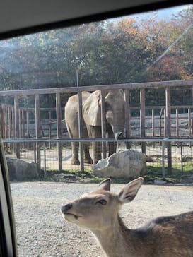 東北サファリパークに投稿された画像（2023/10/31）
