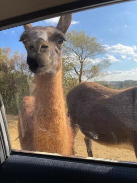 東北サファリパークに投稿された画像（2023/10/31）