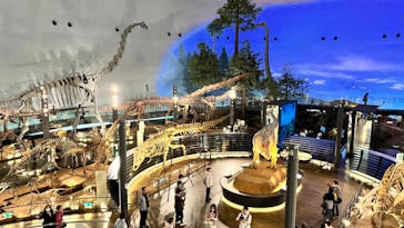福井県立恐竜博物館に投稿された画像（2023/10/31）