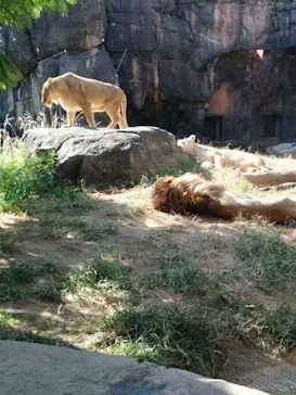天王寺動物園に投稿された画像（2023/10/31）