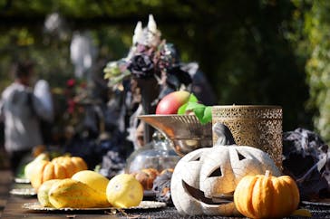 横浜イングリッシュガーデンに投稿された画像（2023/10/31）