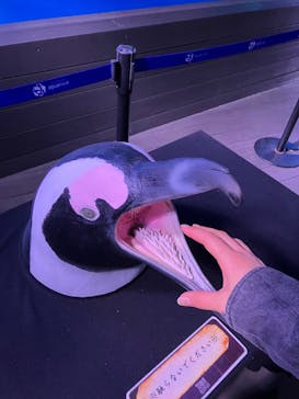 サンシャイン水族館に投稿された画像（2023/10/31）