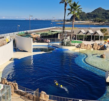 大分マリーンパレス水族館 「うみたまご」に投稿された画像（2023/10/31）