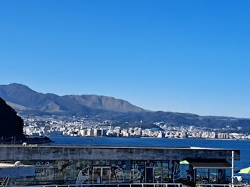 大分マリーンパレス水族館 「うみたまご」に投稿された画像（2023/10/31）