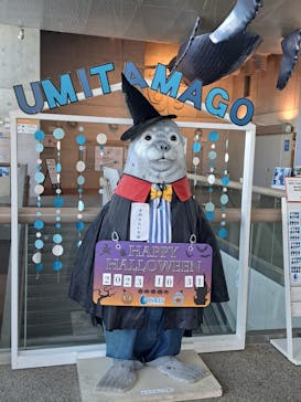 大分マリーンパレス水族館 「うみたまご」に投稿された画像（2023/10/31）