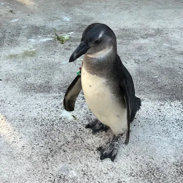 横浜・八景島シーパラダイスに投稿された画像（2023/10/31）