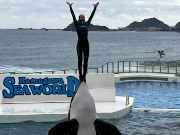 鴨川シーワールドに投稿された画像（2023/10/31）