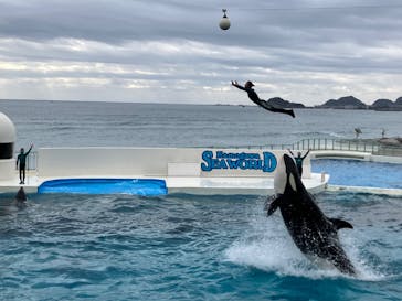 鴨川シーワールドに投稿された画像（2023/10/31）