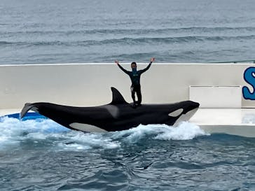 鴨川シーワールドに投稿された画像（2023/10/31）