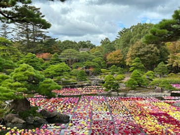 日本庭園　由志園に投稿された画像（2023/11/1）