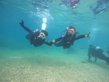 武藤潜水に投稿された画像（2023/11/1）