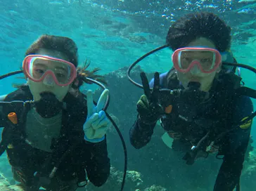 武藤潜水に投稿された画像（2023/11/1）