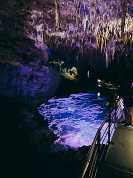 おきなわワールドに投稿された画像（2023/11/1）