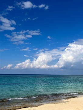 沖縄美ら海水族館に投稿された画像（2023/11/1）