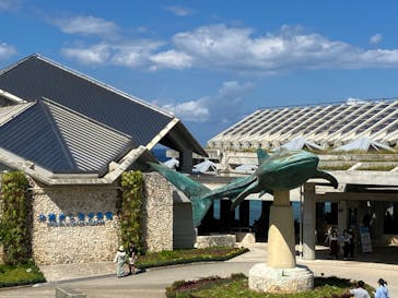 沖縄美ら海水族館に投稿された画像（2023/11/1）