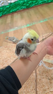 いきもの探検隊湘南に投稿された画像（2023/11/1）