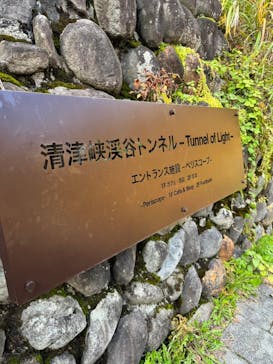 清津峡渓谷トンネルに投稿された画像（2023/11/1）