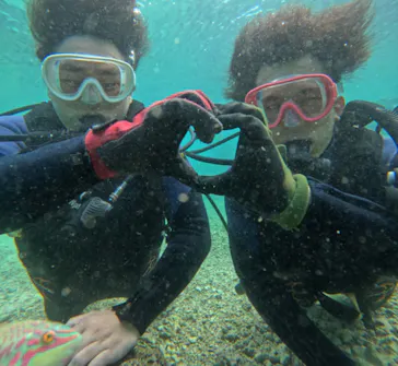 武藤潜水に投稿された画像（2023/11/1）