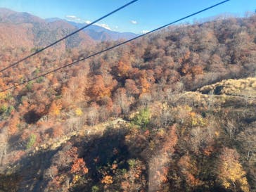 谷川岳ヨッホ by 星野リゾートに投稿された画像（2023/11/1）