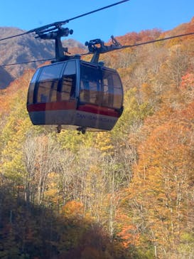 谷川岳ヨッホ by 星野リゾートに投稿された画像（2023/11/1）