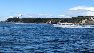 東尋坊観光遊覧船株式会社に投稿された画像（2023/11/1）